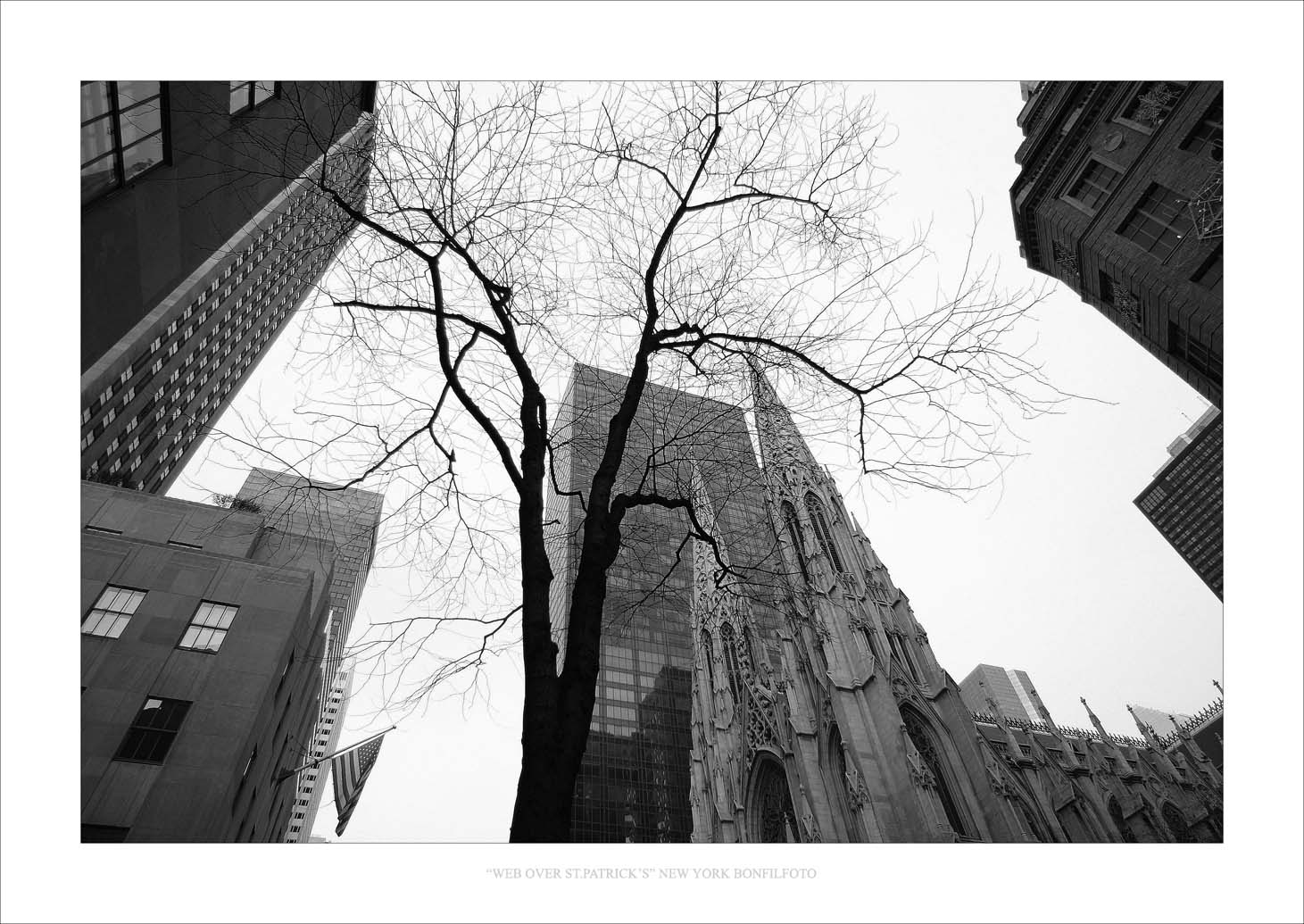 &quot;WEB OVER ST.PATRICKS&quot; NEW YORK