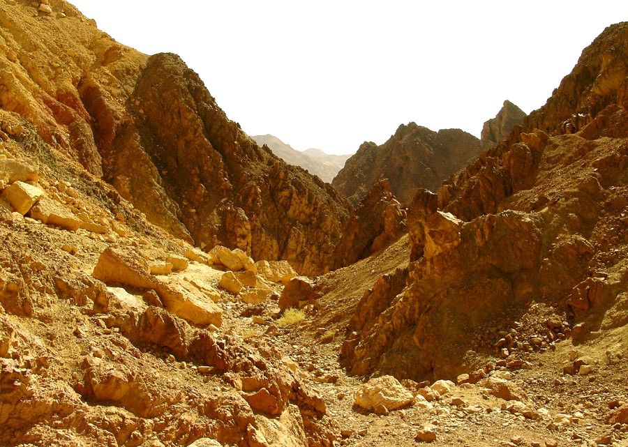 ISRAEL NATIONAL TRAIL в Эйлате (7)