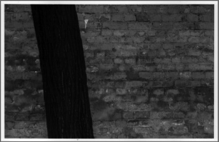 Красота линий. Или геометрия красоты?