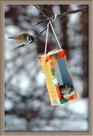 Кто в домике моем?