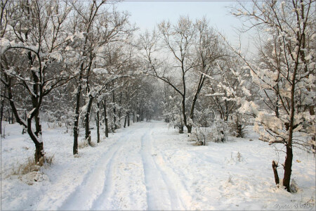 Первая, зимняя.
