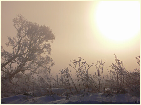 Зимний день.