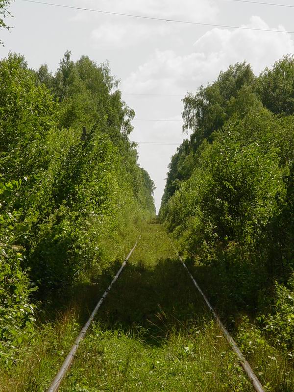 Замаскированные в зелени рельсы