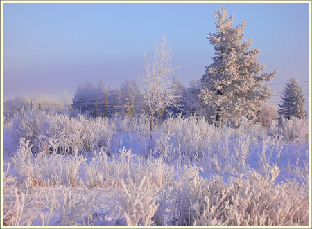 С Наступающим !!!