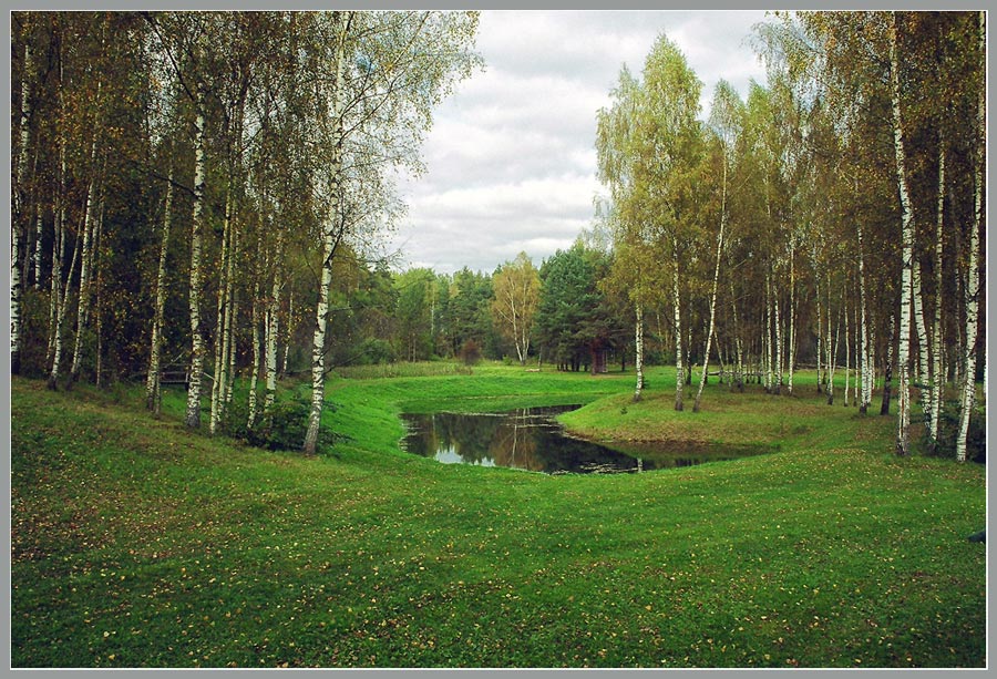 Лесной пруд
