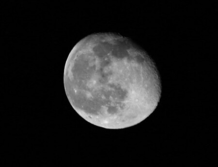 Moon