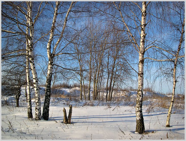1 января все немного пьянные