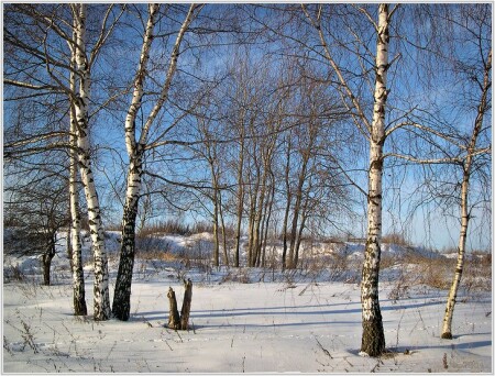 1 января все немного пьянные