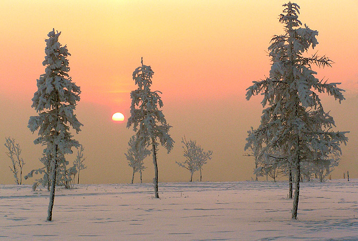 Холодное Солнце