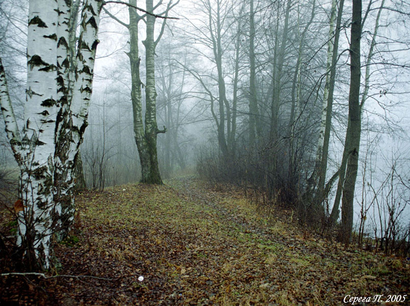 Утро в осеннем лесу
