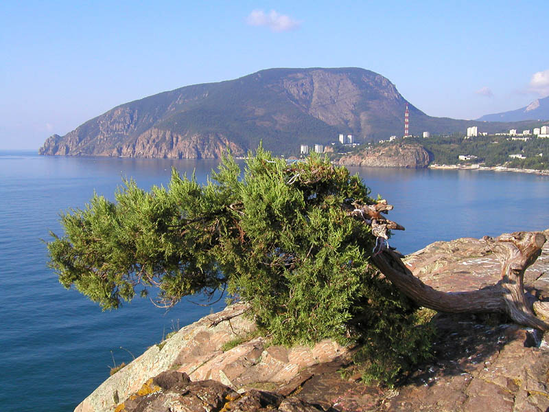 Две горы Медведь (Крым)