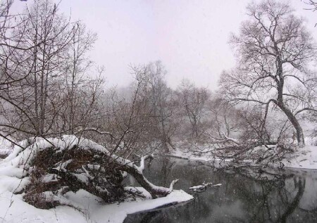 Зимняя речка