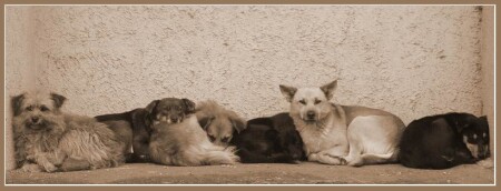 Отверженные