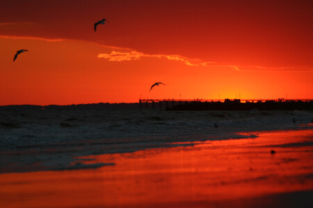 Закат на Брайтоне