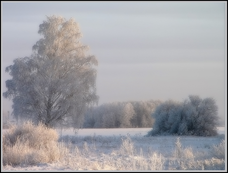 Замороженные 2