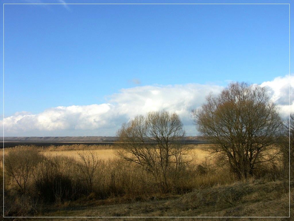 Плавни.