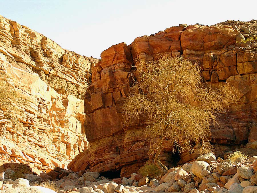 ISRAEL NATIONAL TRAIL в Эйлате (10)