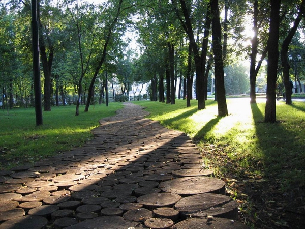 там, на неведомых дорожках...