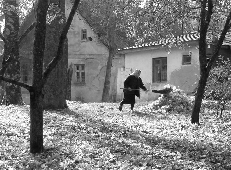 из осеннего архива