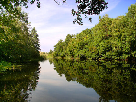 Край воронежский