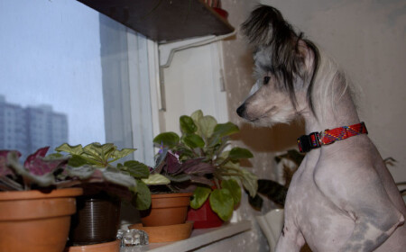 А за окном...