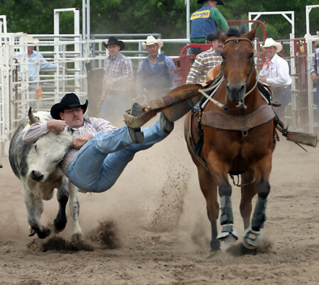 Rodeo