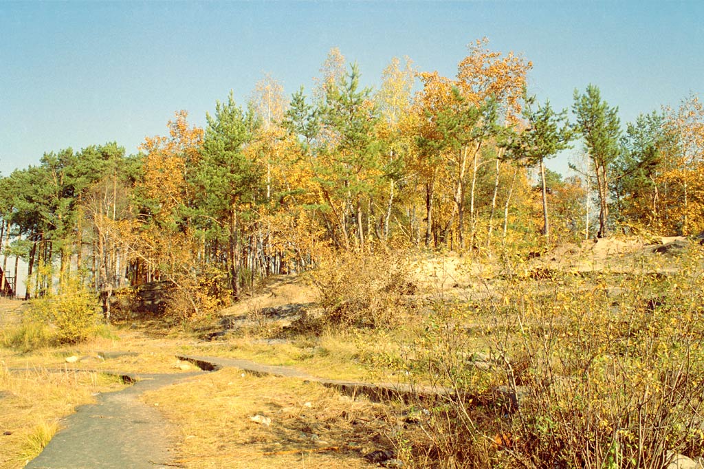 Золотая осень