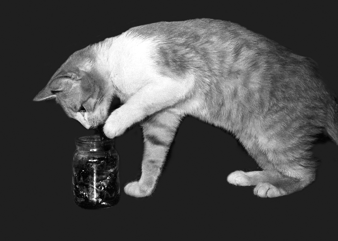 С поличным
