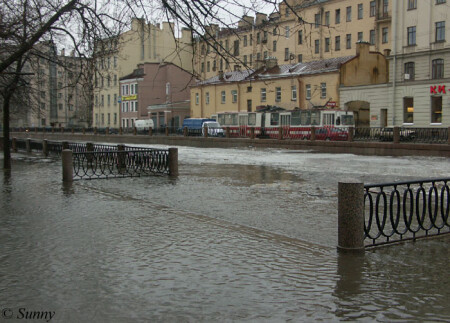 239 см. выше ординара