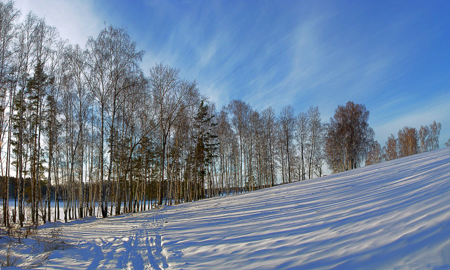 Ажурная зимняя панорама
