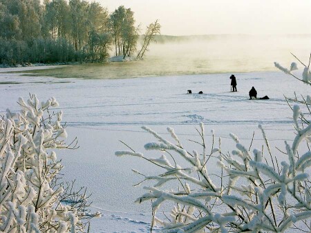 По рыбным местам