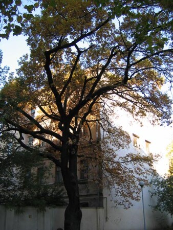 Задворки Арбата