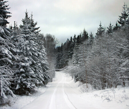 Зимние прогулки