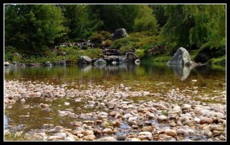 Japanese Garden