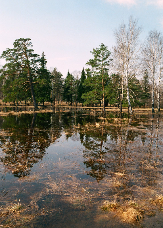 Весеннее половодье на реке Черной 