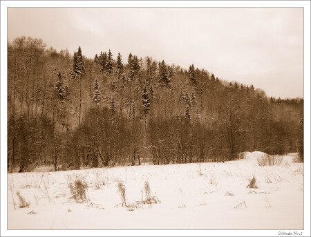 Solitude No. 2