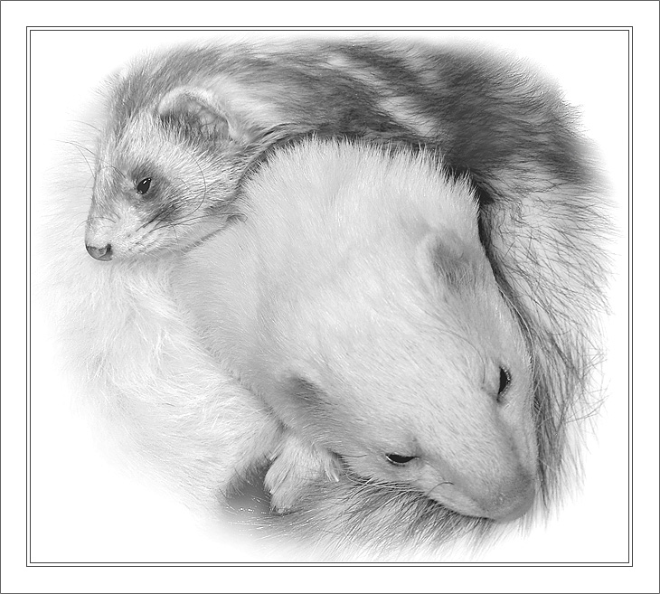 Together
