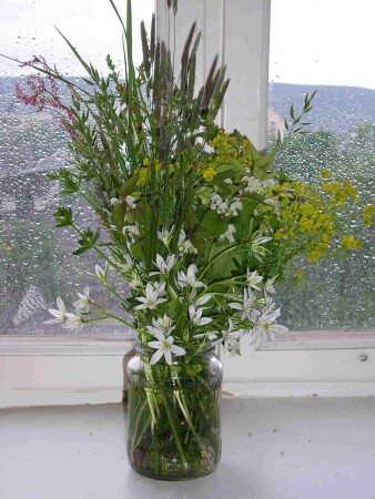 Последние цветы дождливого лета