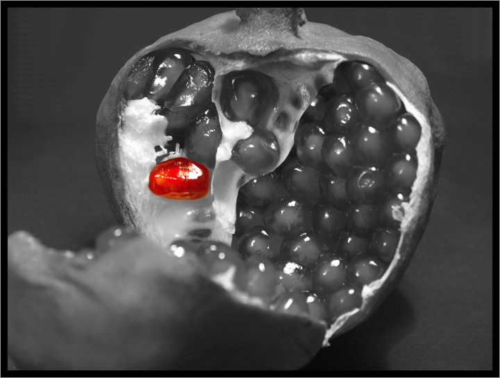 Pomegranate
