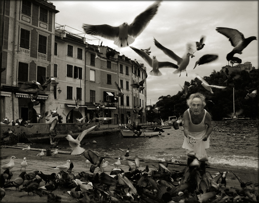 В пoискaх нaстoящегo Итaльянцa.... (birds)