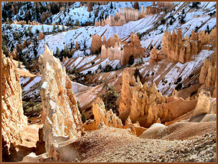 Bryce canyon