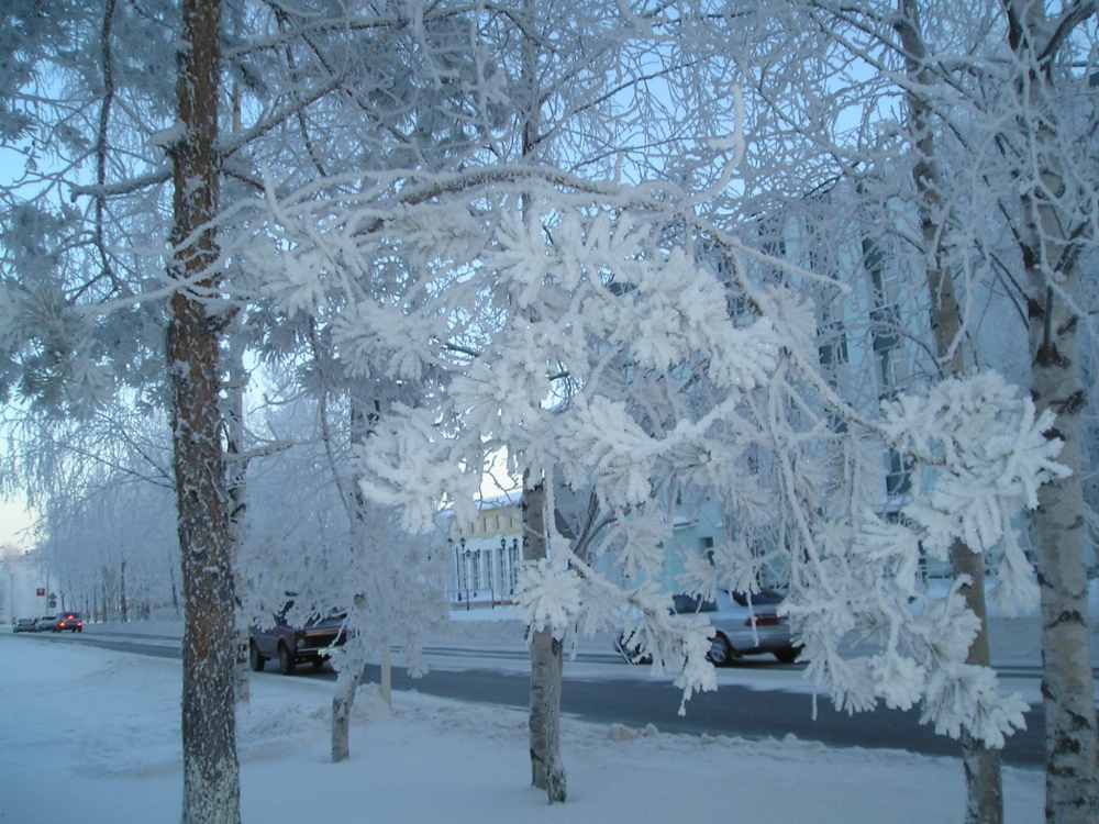 Мороз снежком утывал....