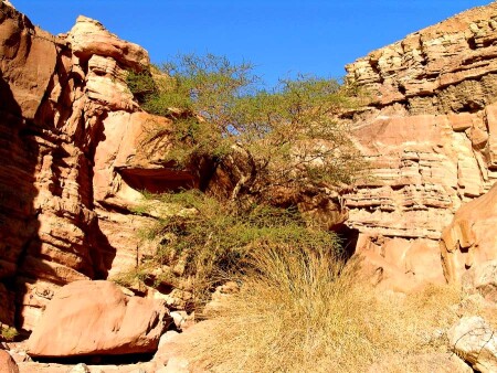ISRAEL NATIONAL TRAIL в Эйлате (11)