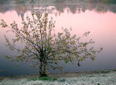 ЗЕРКАЛО
