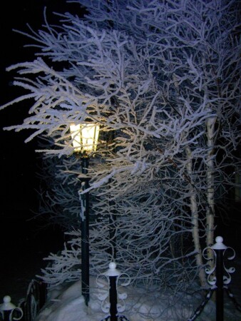 моменты красоты 