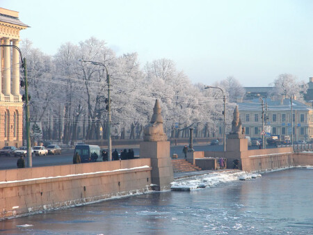 Сакура в цвету. (северная)