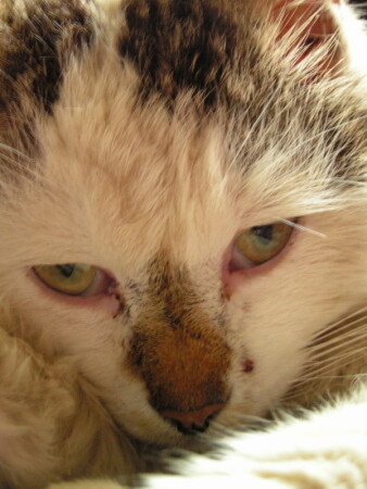 Грусть, печаль ...