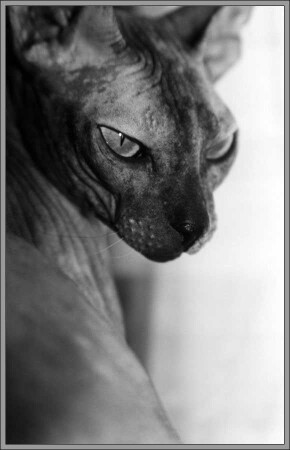 Мы такие разные :)