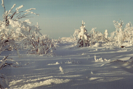 Зимнее