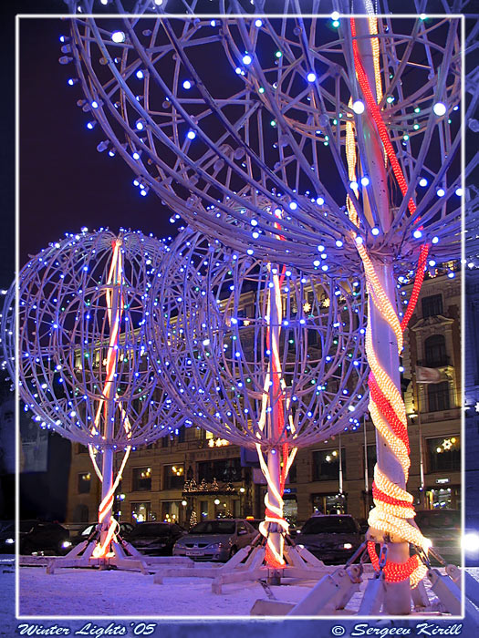Winter Lights